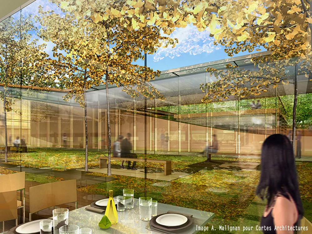 Siège L’Oréal — restaurant ouvert sur le jardin