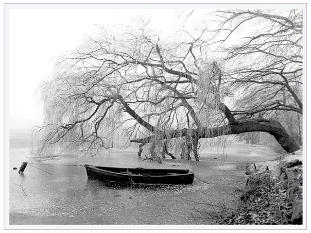 Banlieue, Copenhague, photographie argentique noir et blanc, prise et tirée en laboratoire par Julien BERKOVIC