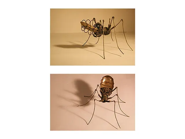 Araignée, sculpture, fil de fer, métal, par Julien BERKOVIC